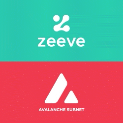 Painel de gerenciamento de sub -redes de avalanche