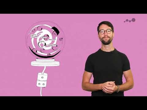 Reveal gallery image