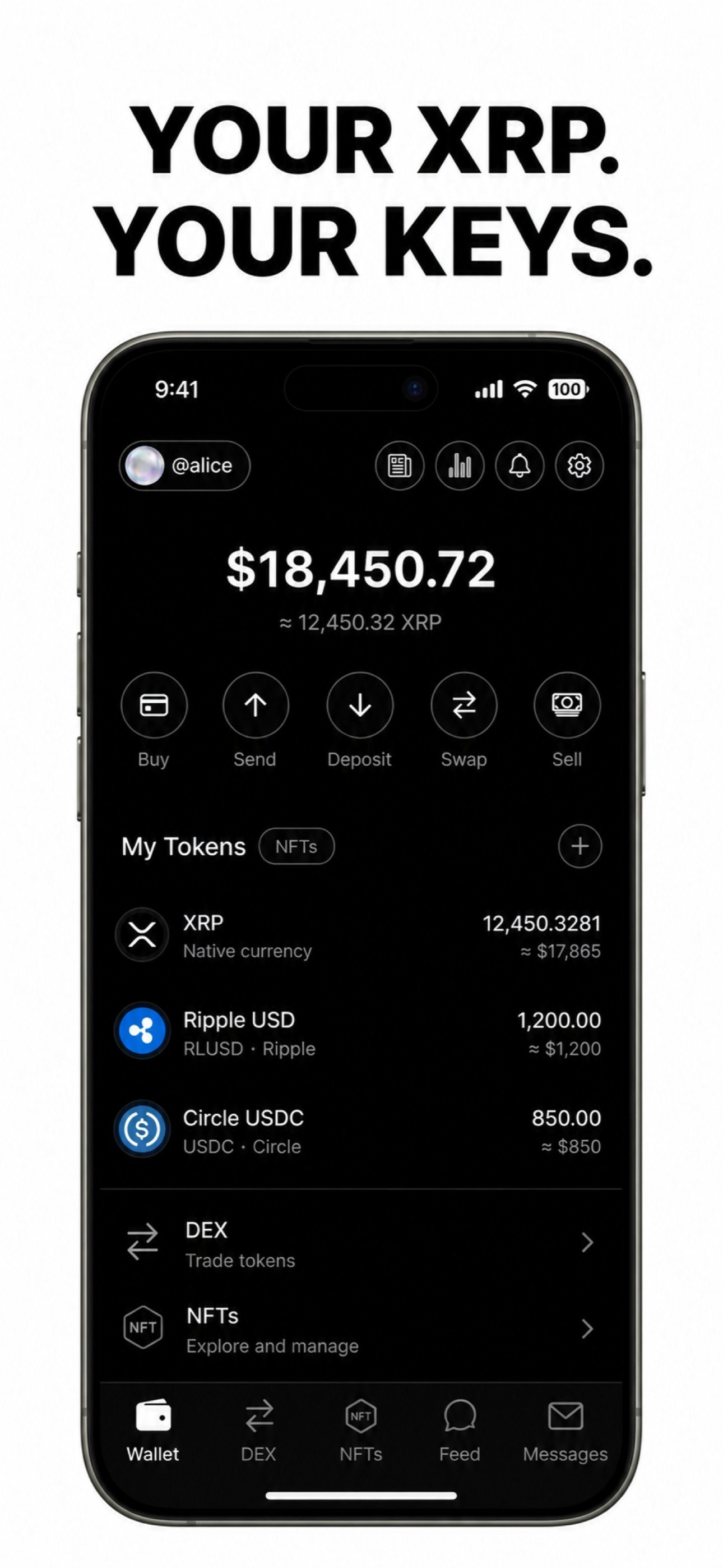 Ondex gallery image