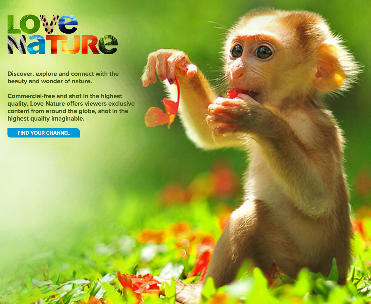 Love Nature gallery image