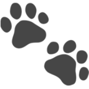 UptimeWatchdog