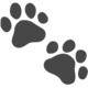 UptimeWatchdog