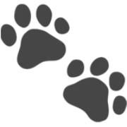 UptimeWatchdog logo