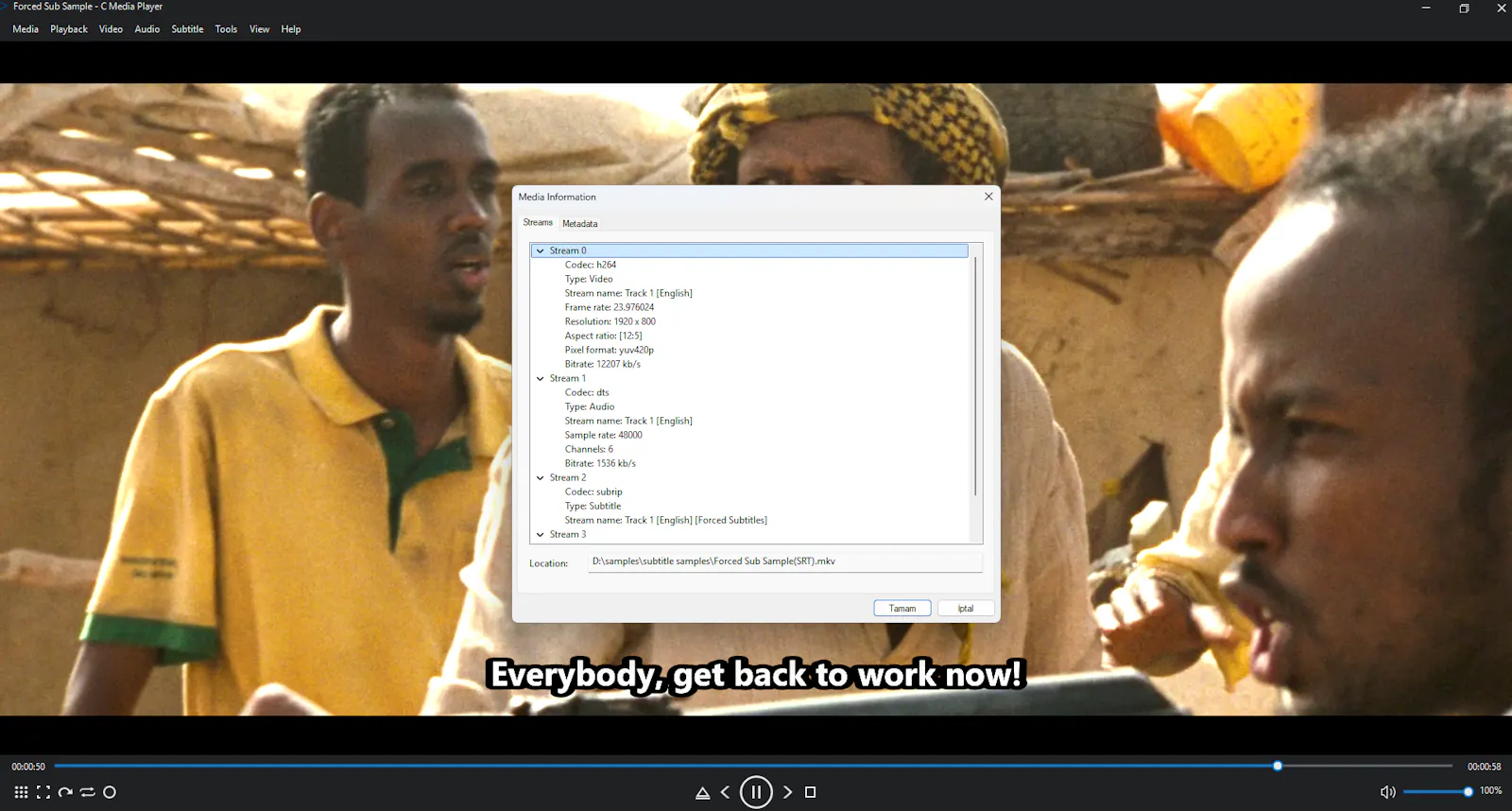 C Media Player screenshot 21