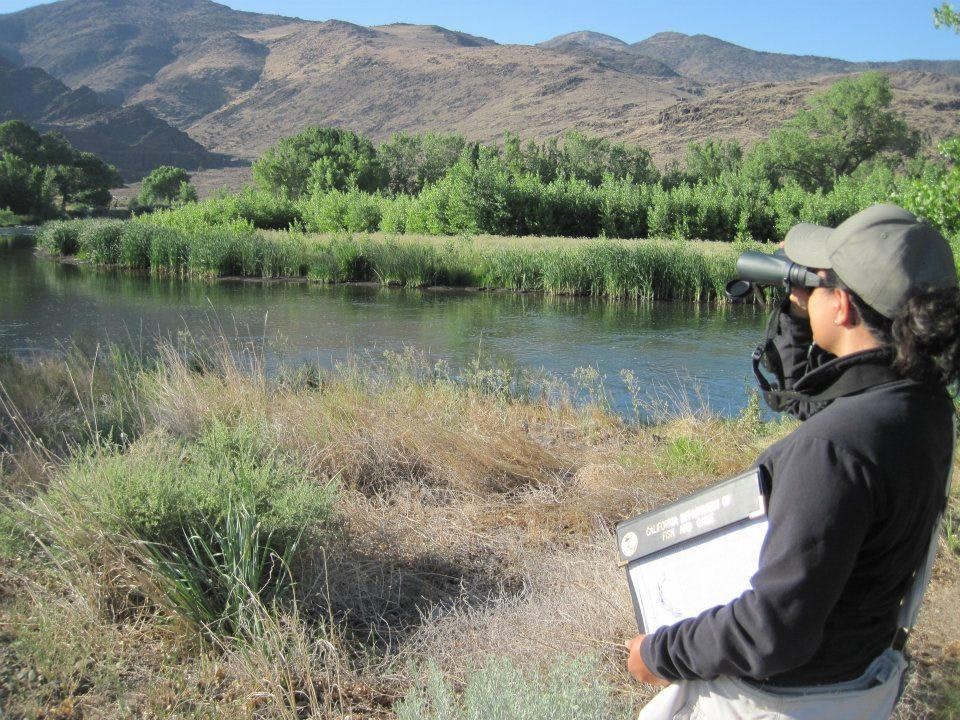 Phase I & II Environmental Assessments