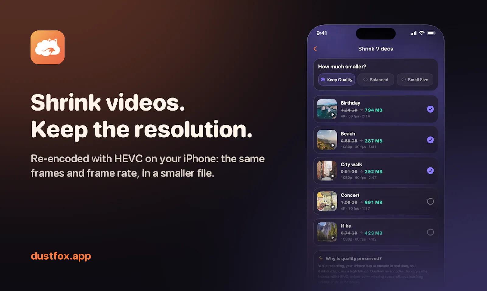 DustFox screenshot 3