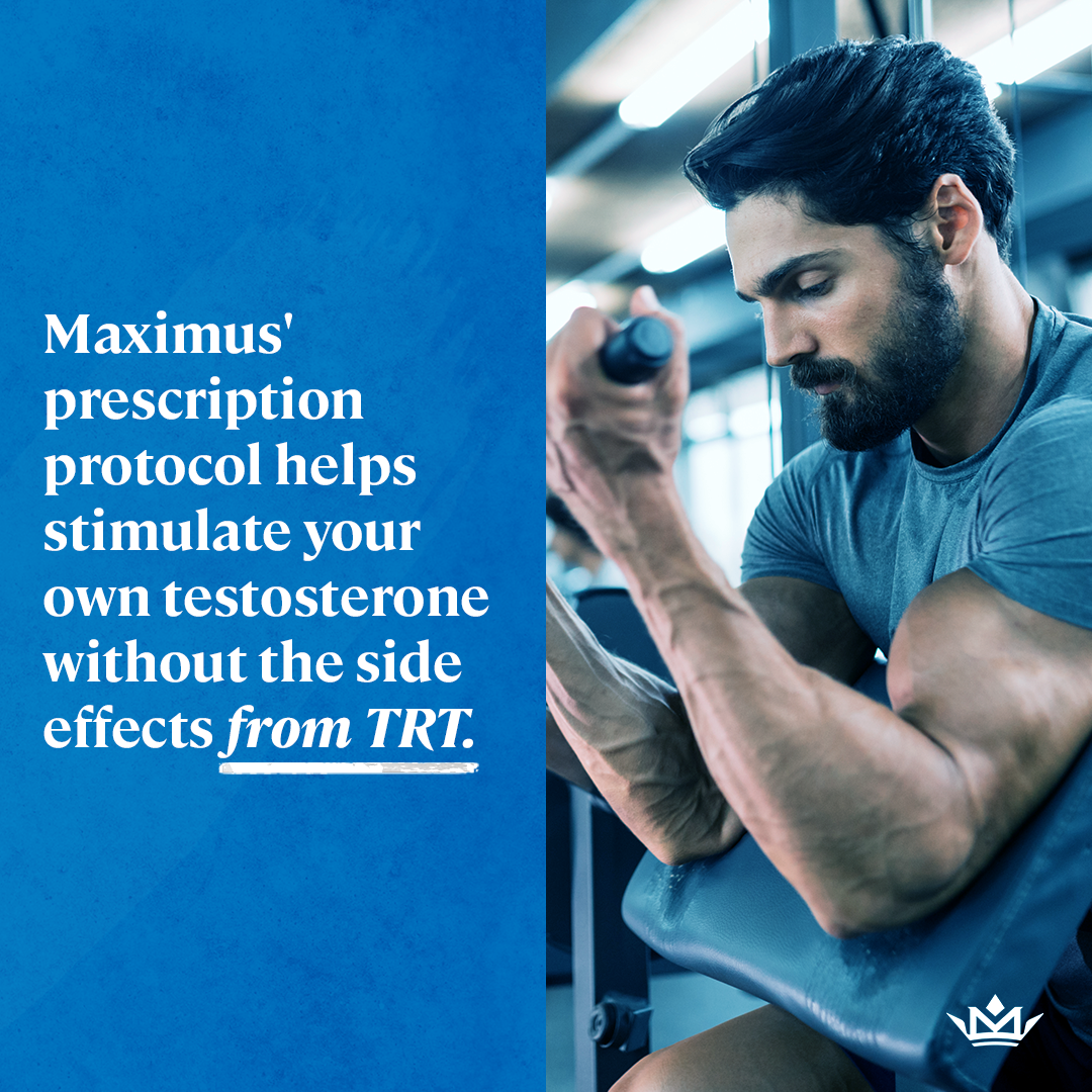 Maximus gallery image