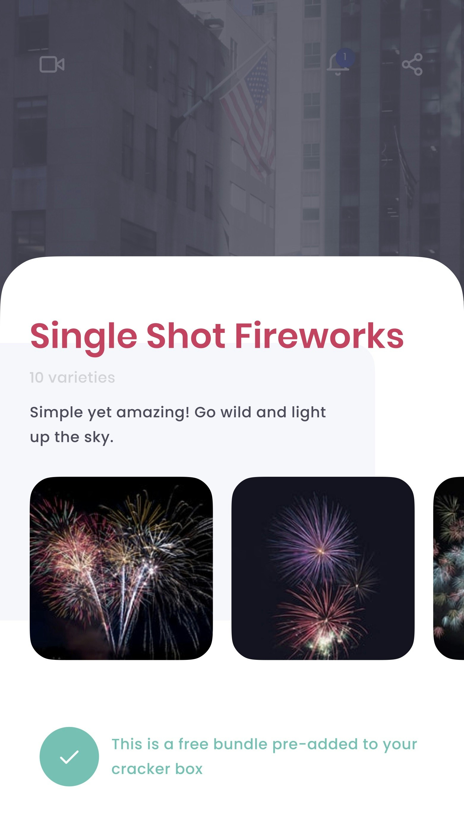 FreedomFire gallery image