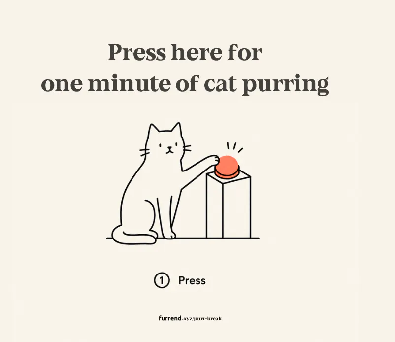 Purr Break gallery image