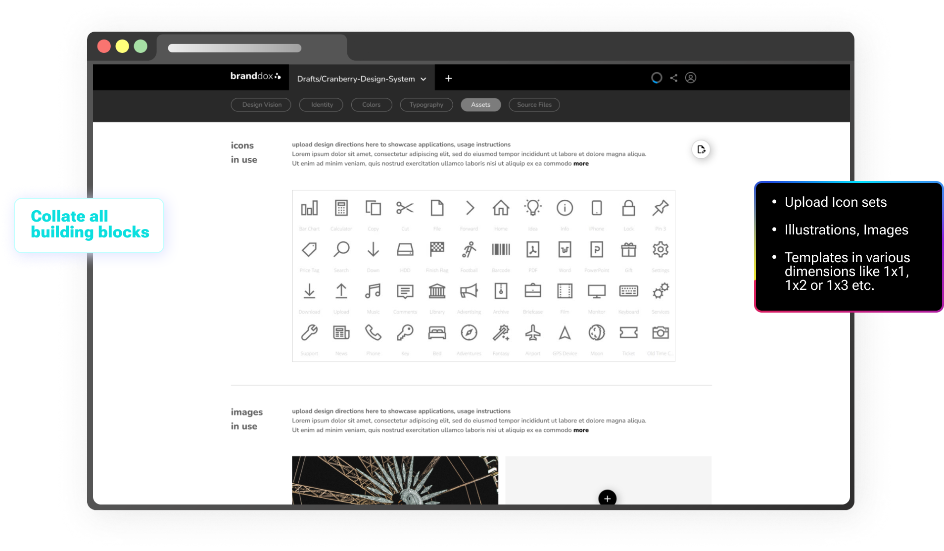 Branddox media 5