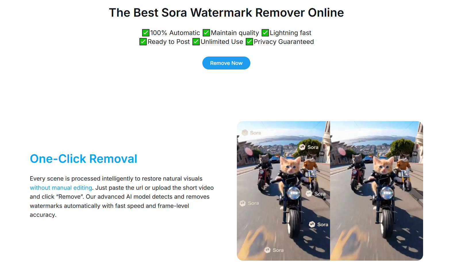 Sora Watermark Remover gallery image