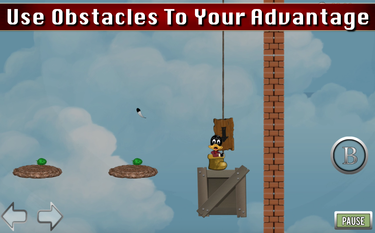 Duck Destiny gallery image