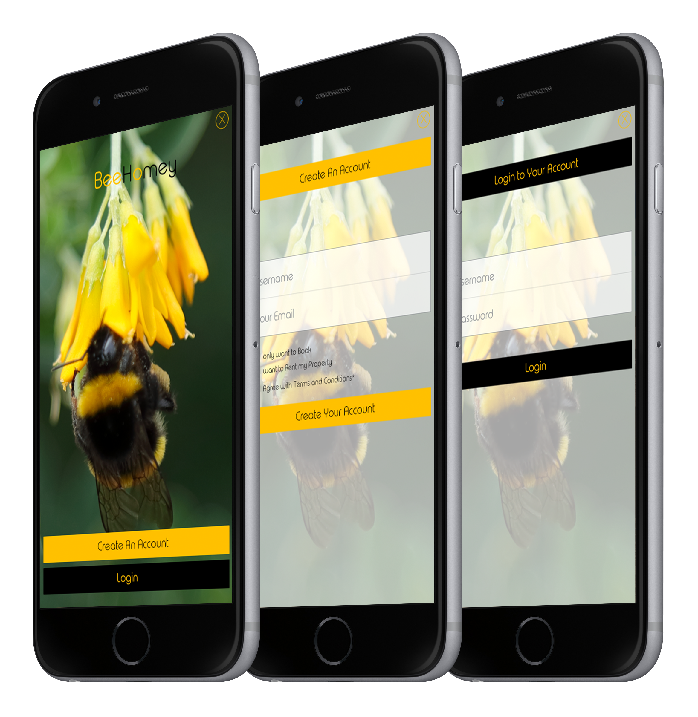 BeeHomey gallery image