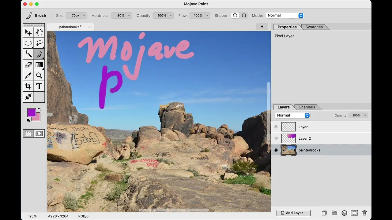Mojave Paint gallery image