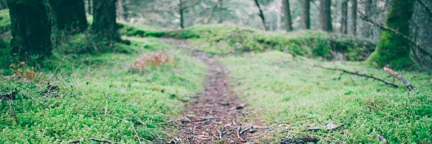 Chris Bernardi cover