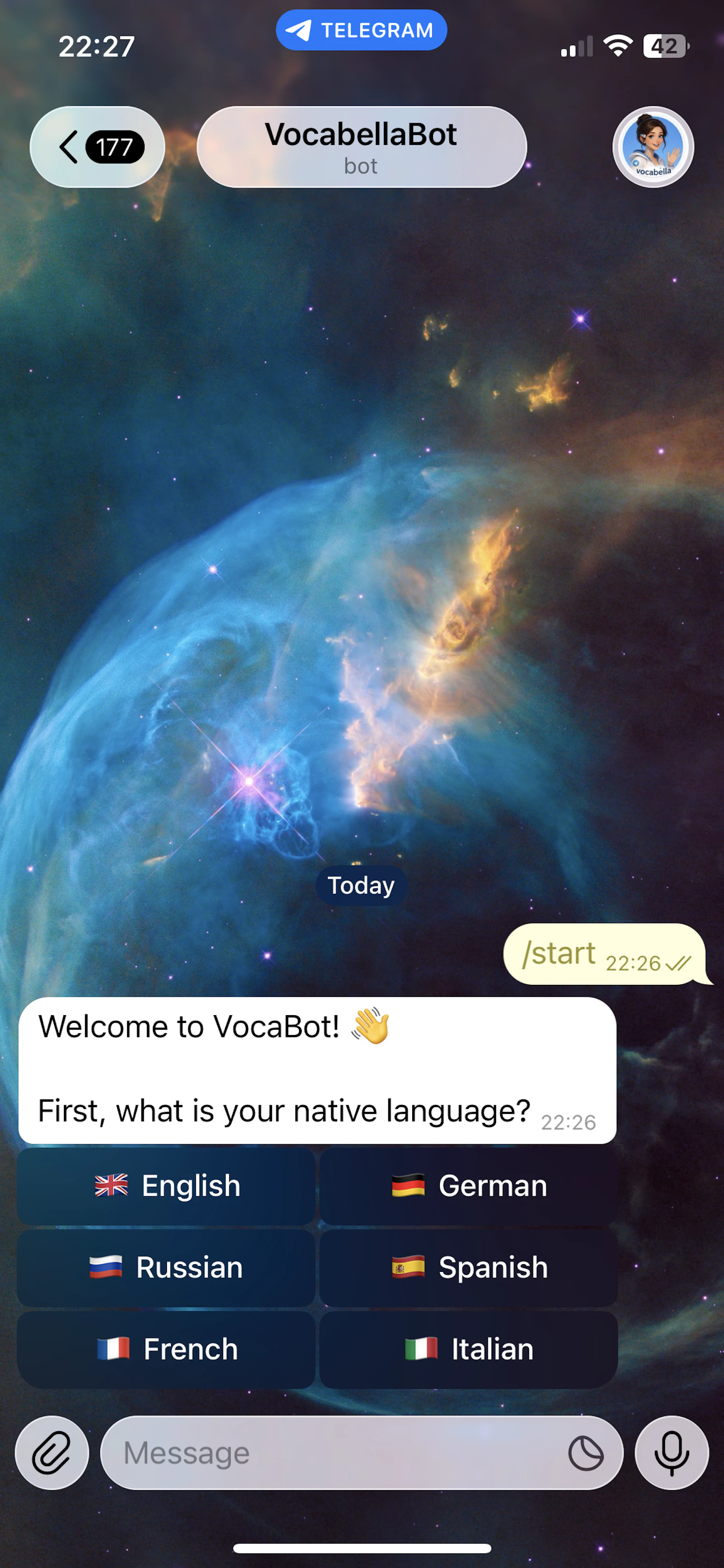 VocabellaBot screenshot 4