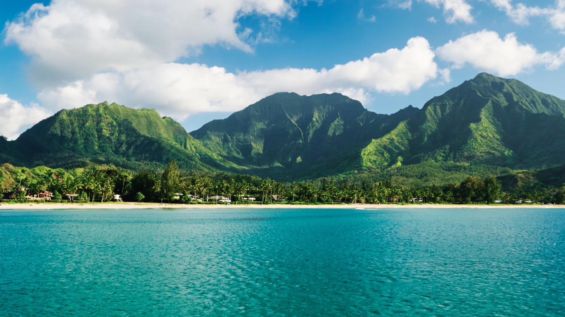 Videoblocks by Storyblocks gallery image