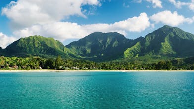 Videoblocks by Storyblocks gallery image