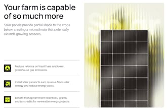 Solarpunk gallery image