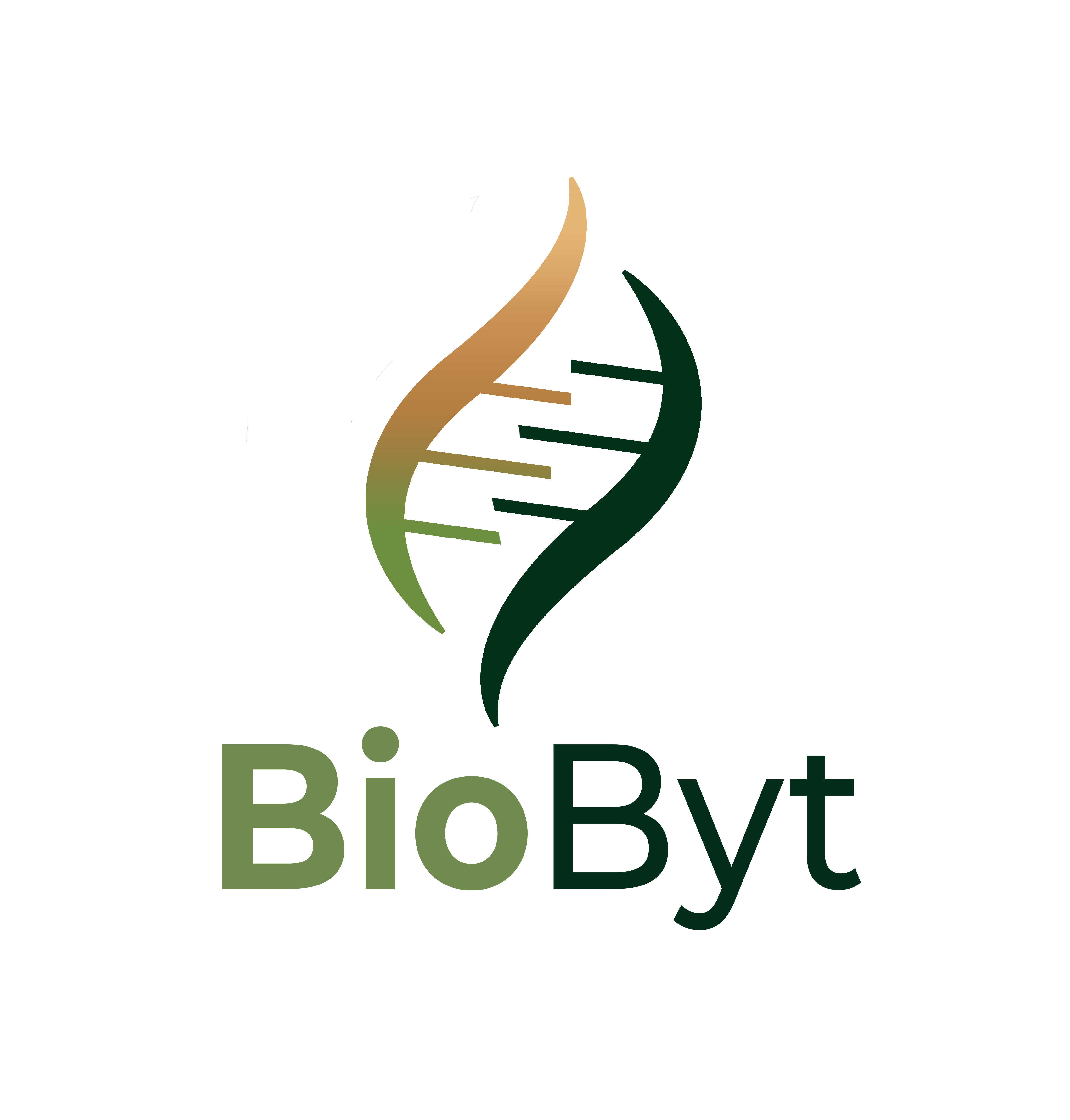 Biobyt's Medos media 1