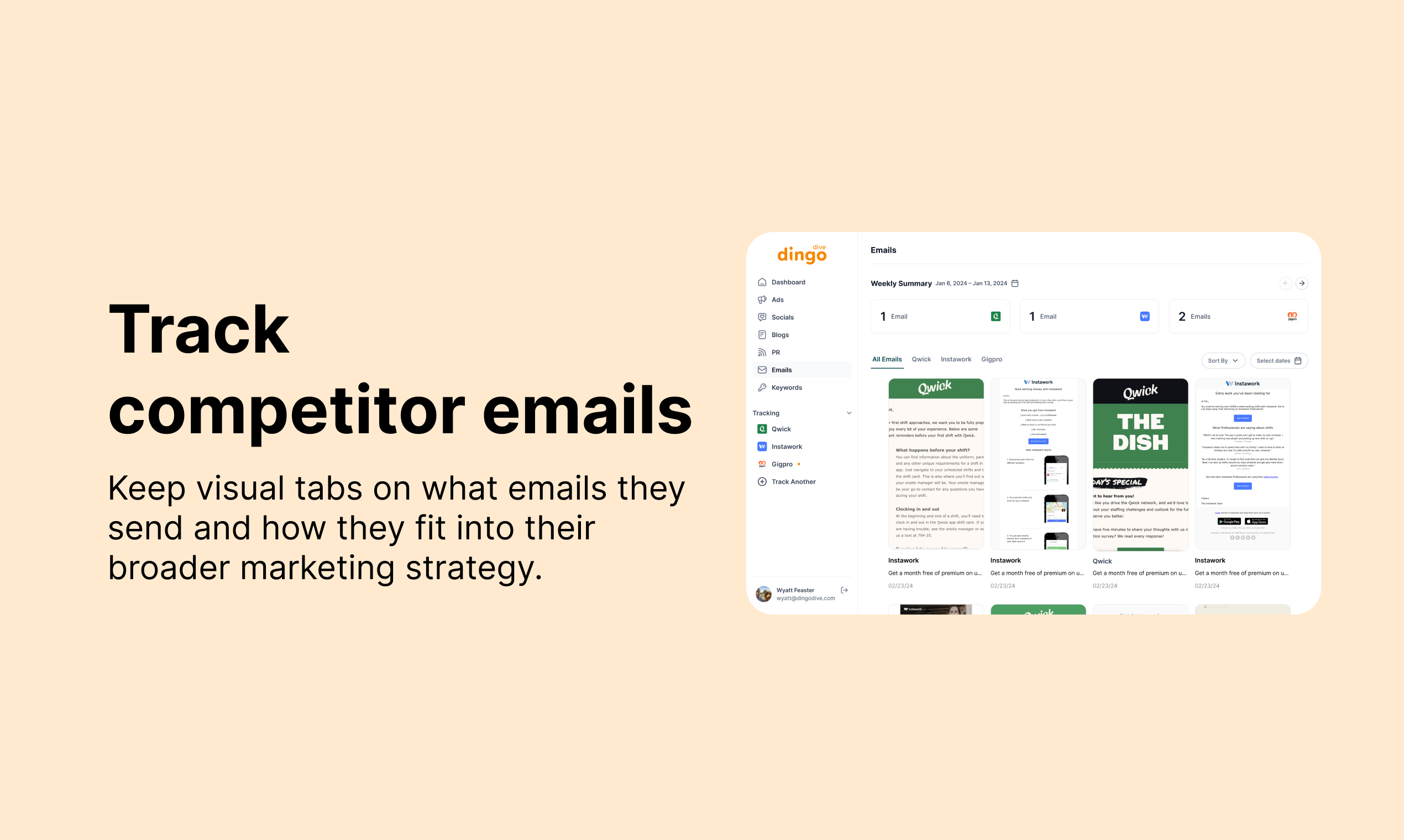 Dingo Dive gallery image