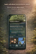 Druidz gallery image