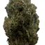 Punch Cookies (Hybrid/ Sativa)