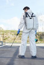 Pest Control Services In Dubai gallery image
