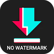Video Downloader for Tiktok No Watermark