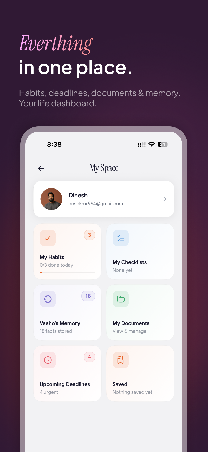 Vaaho AI gallery image