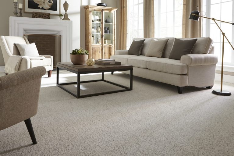 Fixit Carpet media 1