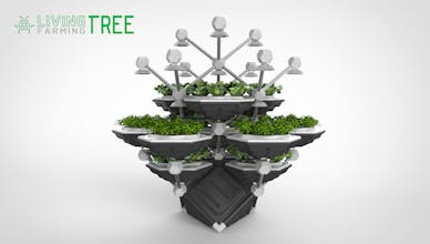 The Living Farming Tree gallery image