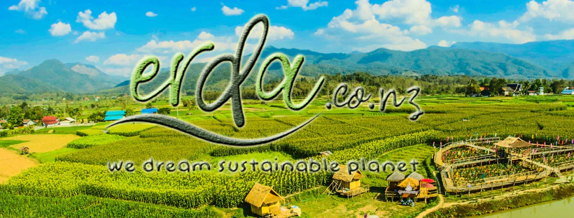 Erda New Zealand cover