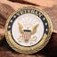 Cartoon Challenge Coins