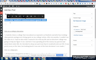 WP Medium Editor Image