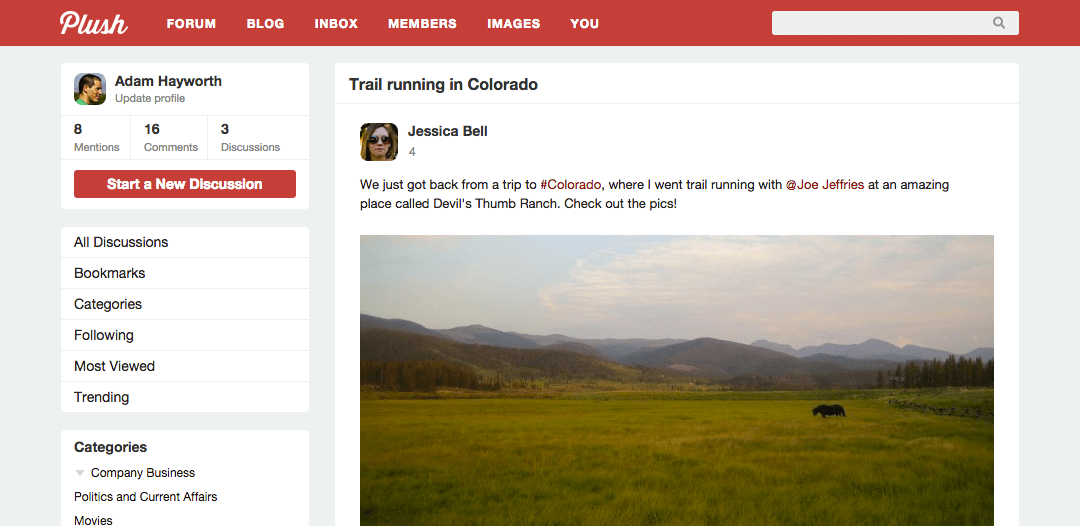 PlushForums gallery image