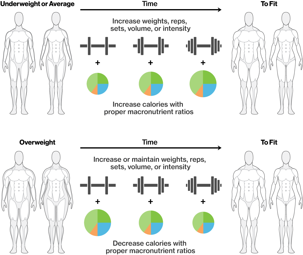 Simple Science Fitness
