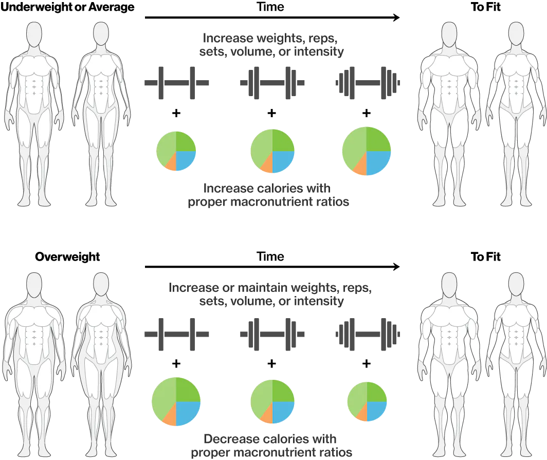 Simple Science Fitness