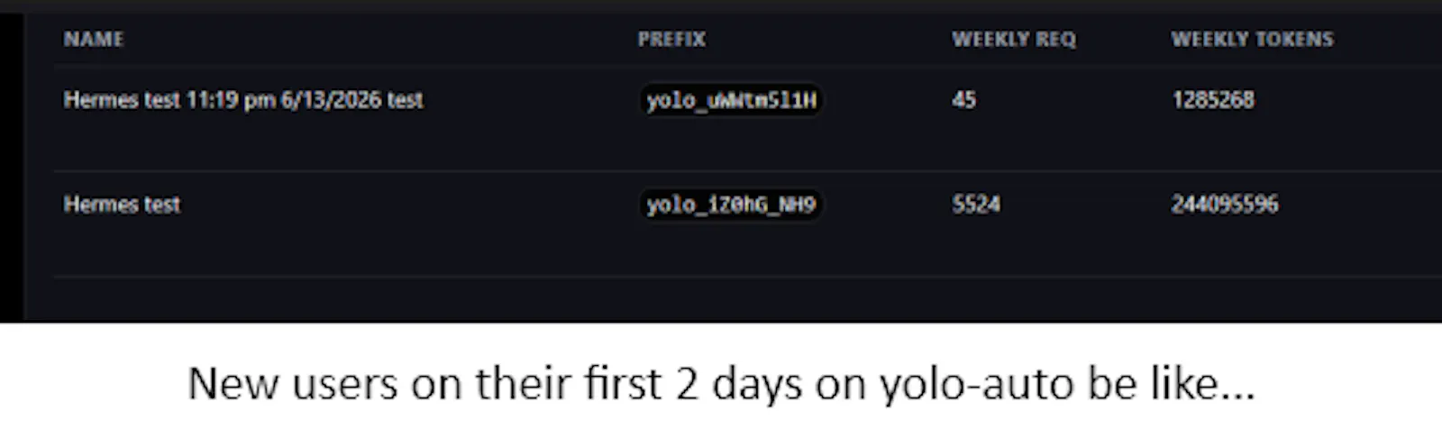 Yolo-Auto screenshot 3