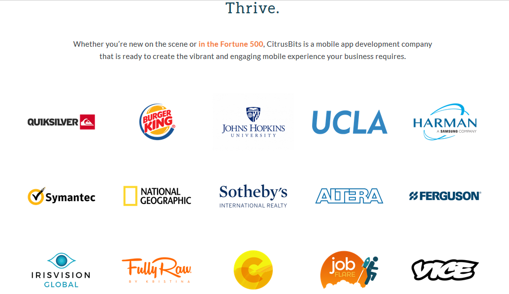 CitrusBits gallery image