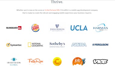 CitrusBits gallery image