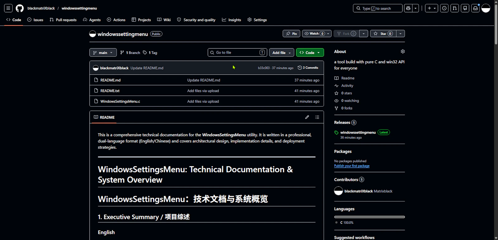 windowssettingmenu screenshot 2