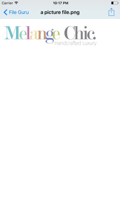 File Guru gallery image