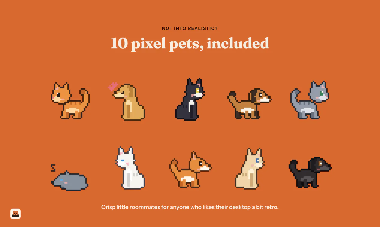 staywith.pet gallery image