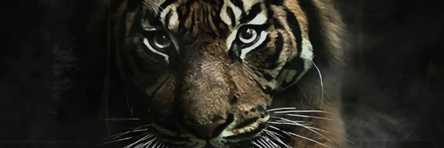 Aniket Bhattacharyea cover