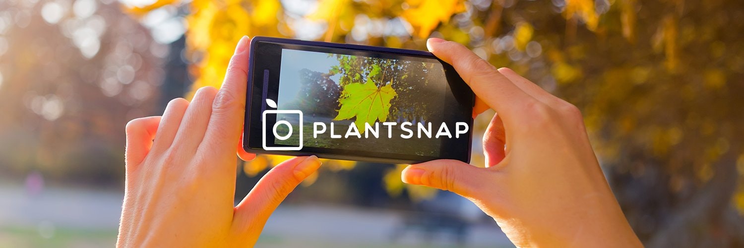 Plantsnap gallery image