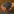 DeSlop — Black Caviar for your Brain