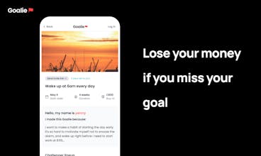 Goalie: Lose $ if you miss your goals gallery image