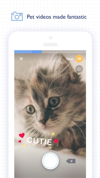 Pamily gallery image