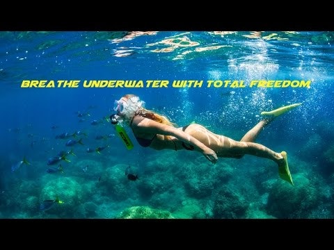 SCORKL gallery image